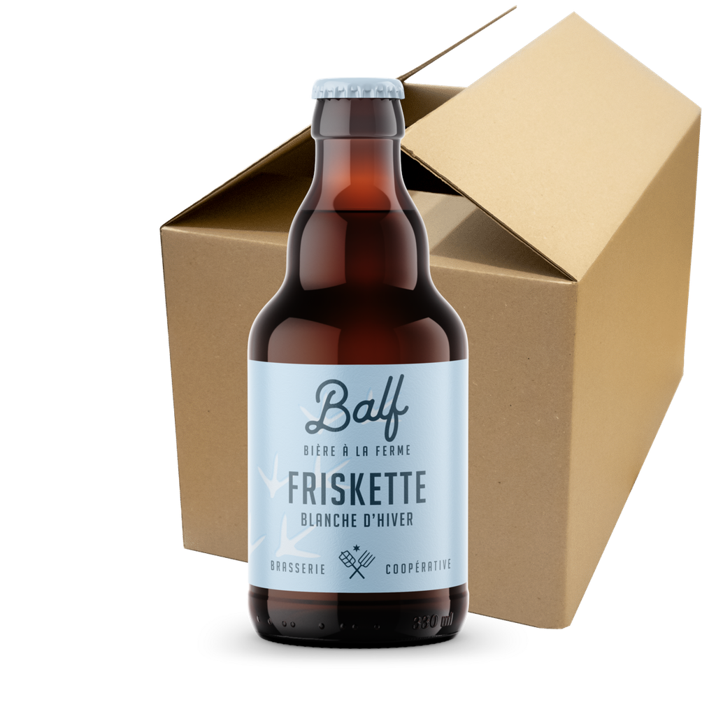 Friskette - Carton de 12 bières 