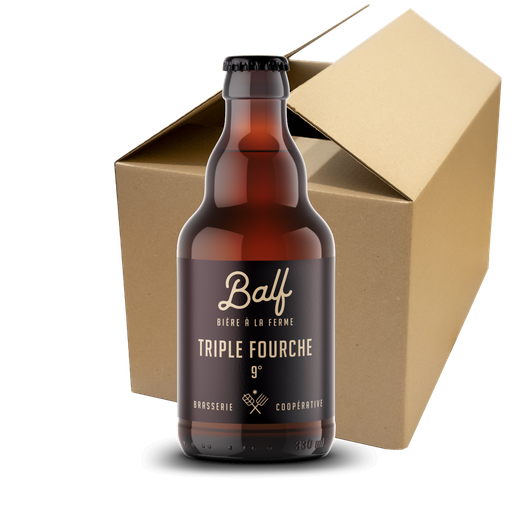 Triple Fourche - Carton de 12 bières 